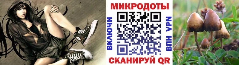 Купить где  Тырныауз  Галлюциногенные грибы Magic Shrooms 